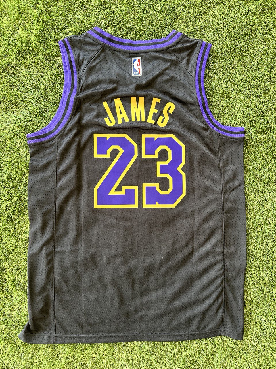 Swingman Los Angeles Lakers NBA Player LeBron James #23